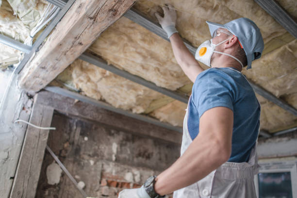 Best Energy Efficiency Solutions in Harrisonburg, VA