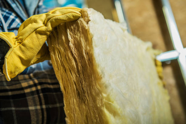 Best Insulation Maintenance and Repair in Harrisonburg, VA