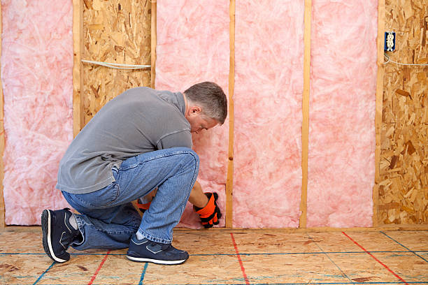 Best Insulation Installation Services in Harrisonburg, VA