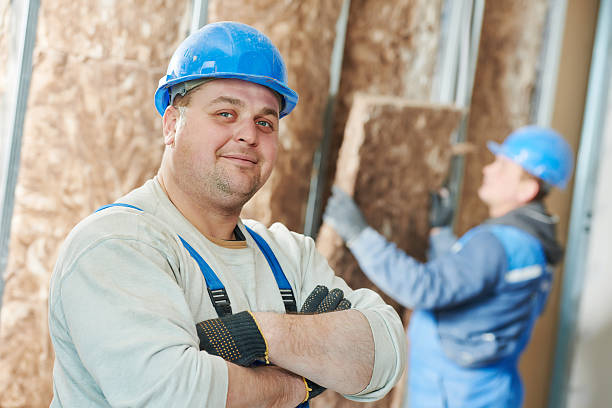 Best Insulation Maintenance and Repair in Harrisonburg, VA