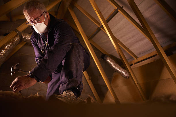 Best Insulation for Specific Applications in Harrisonburg, VA